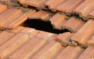 roof repair Pentirvin, Shropshire